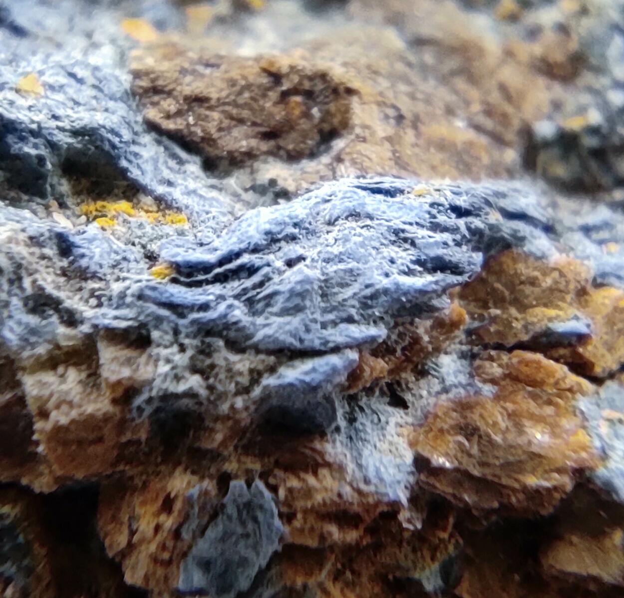 Aerinite & Blue Quartz