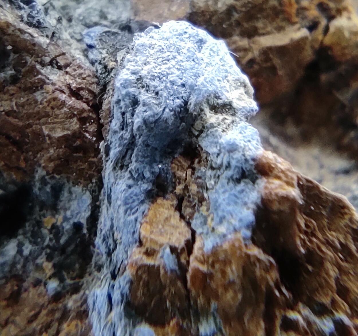 Aerinite & Blue Quartz