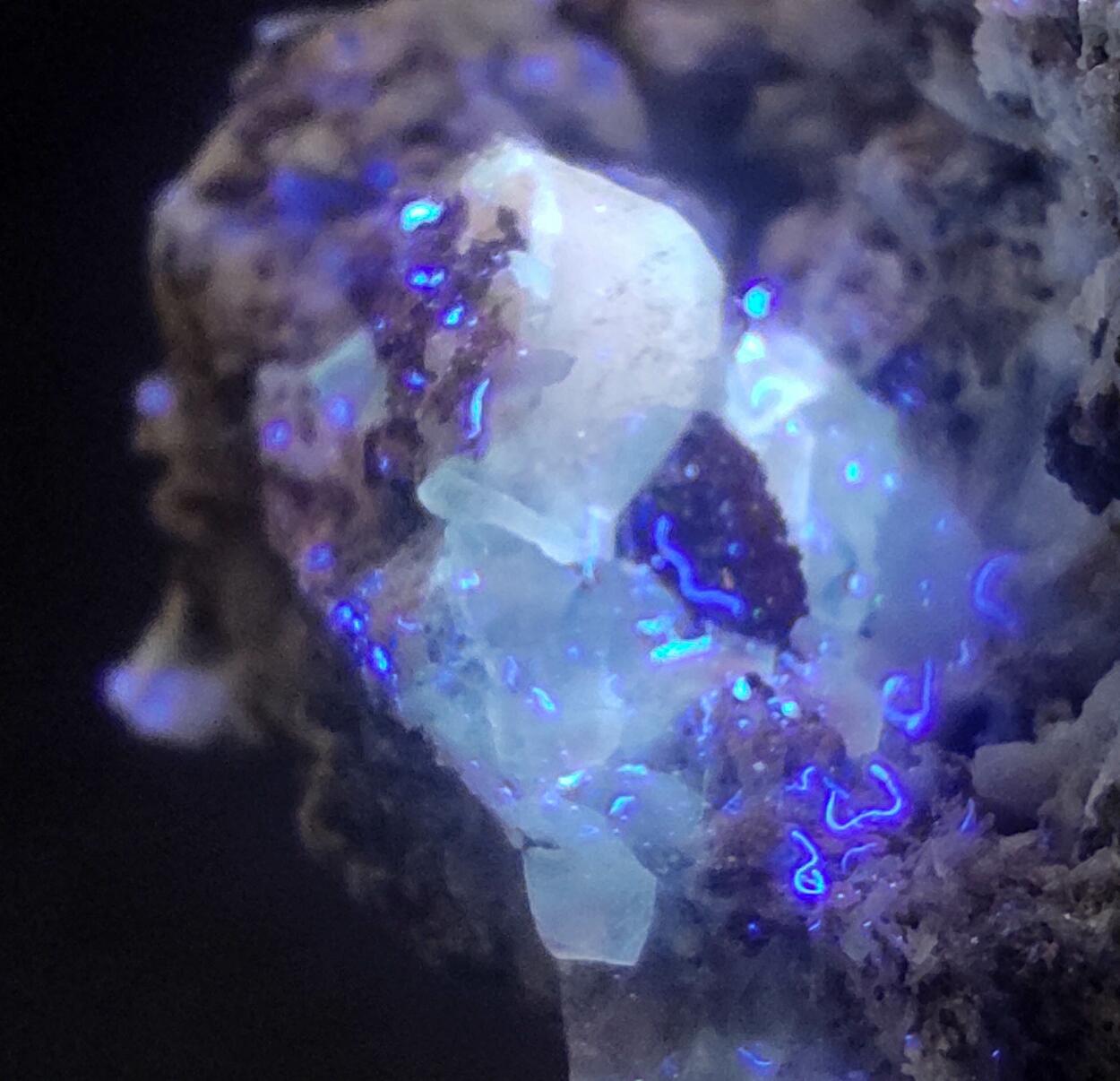 Albite Titanite Ferro-actinolite Pyrite Prehnite & Calcite