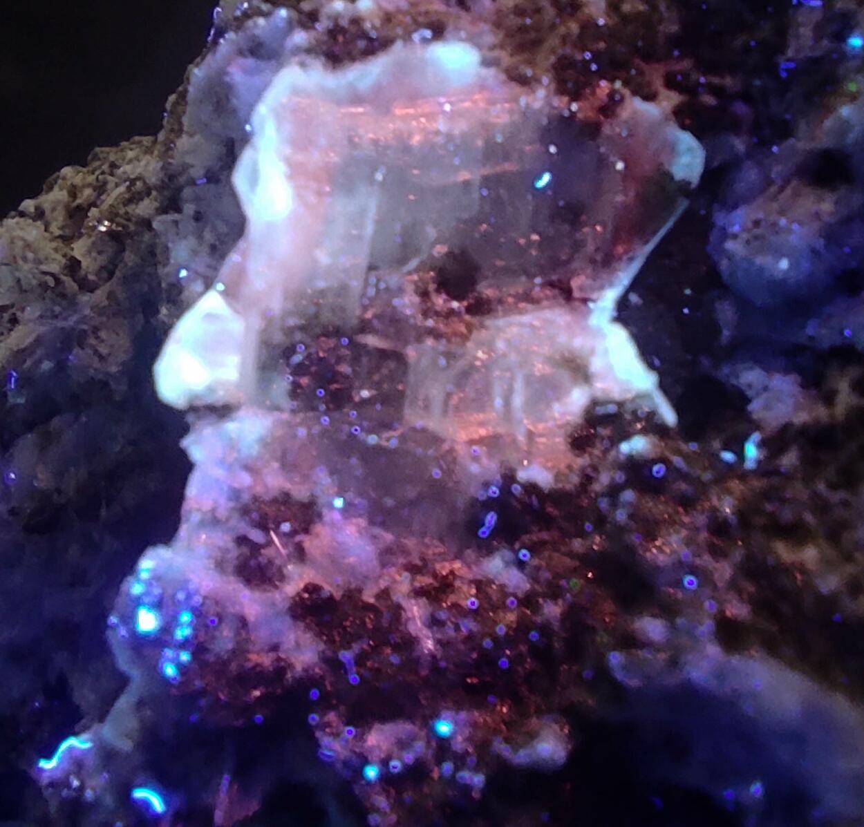 Albite Titanite Ferro-actinolite Pyrite Prehnite & Calcite