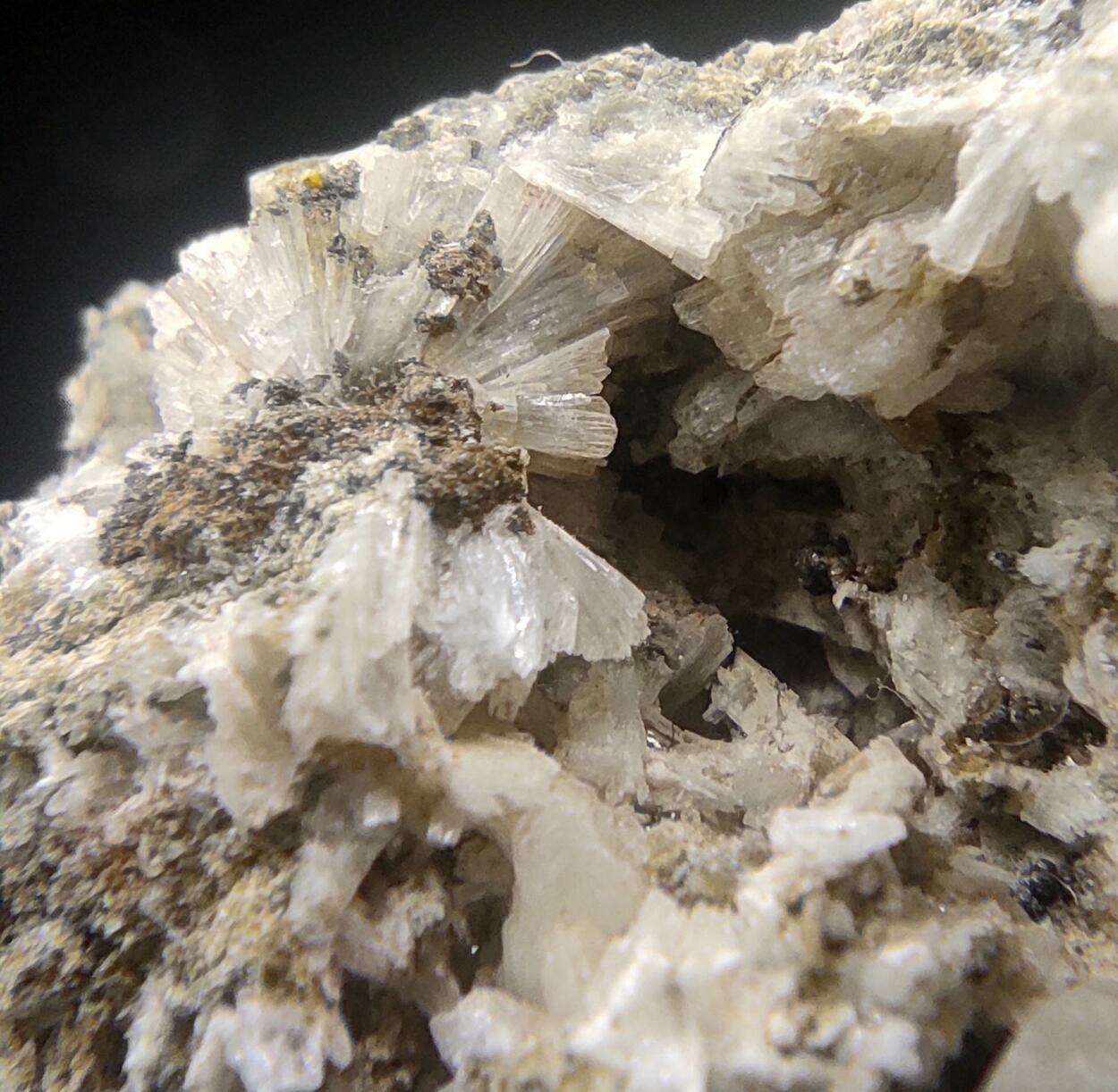 Albite Titanite Ferro-actinolite Pyrite Prehnite & Calcite