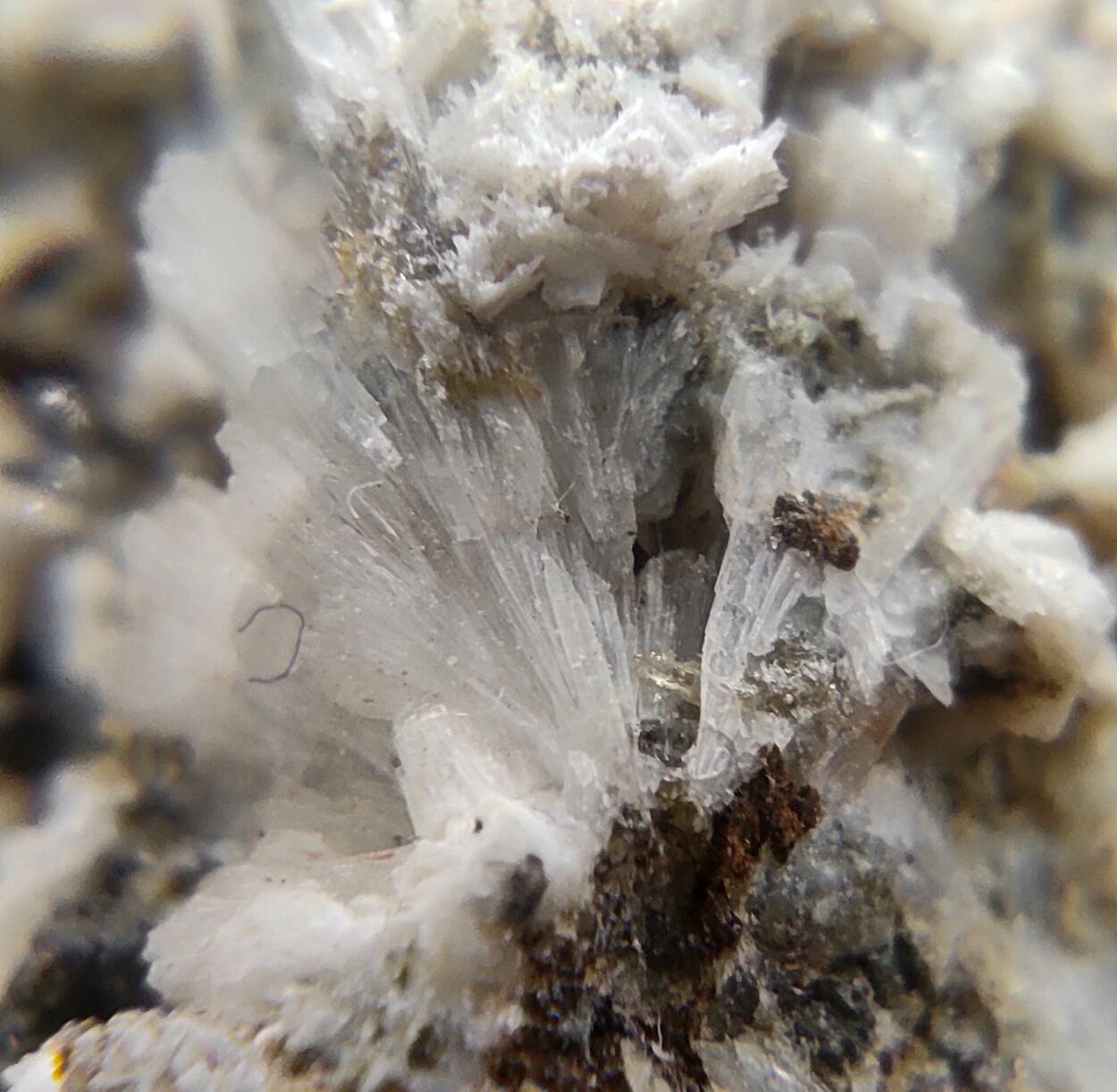 Albite Titanite Ferro-actinolite Pyrite Prehnite & Calcite