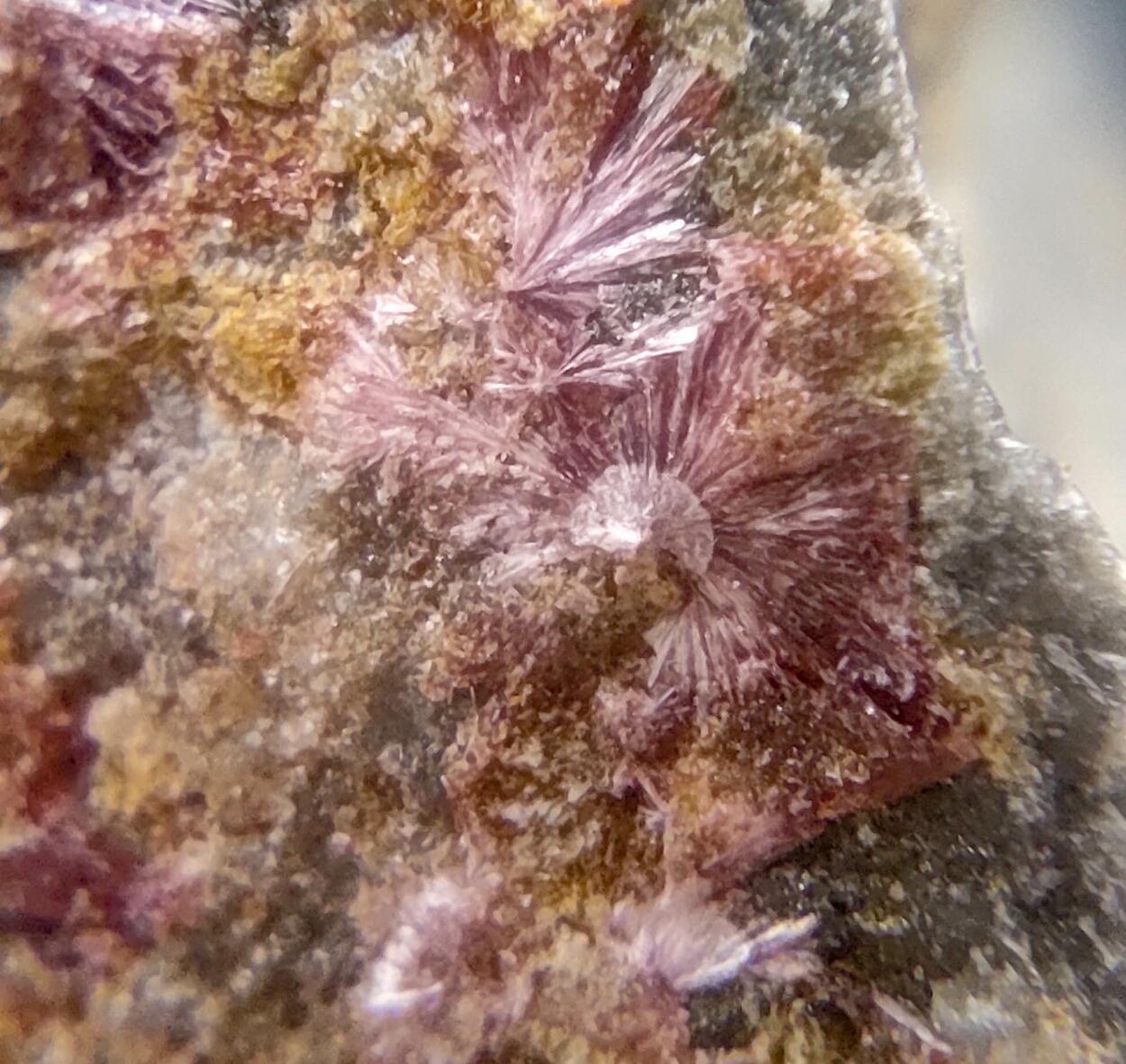 Erythrite