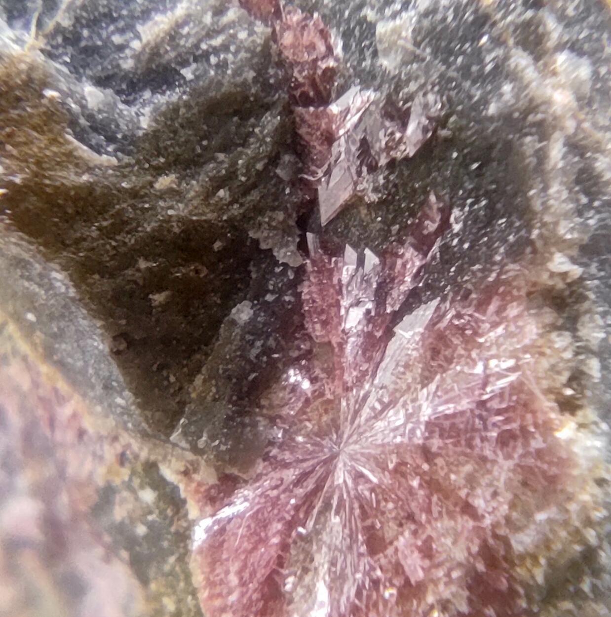 Erythrite