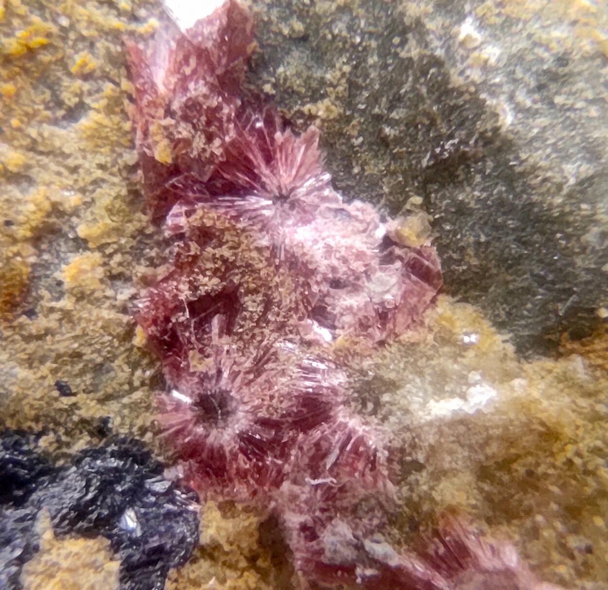 Erythrite