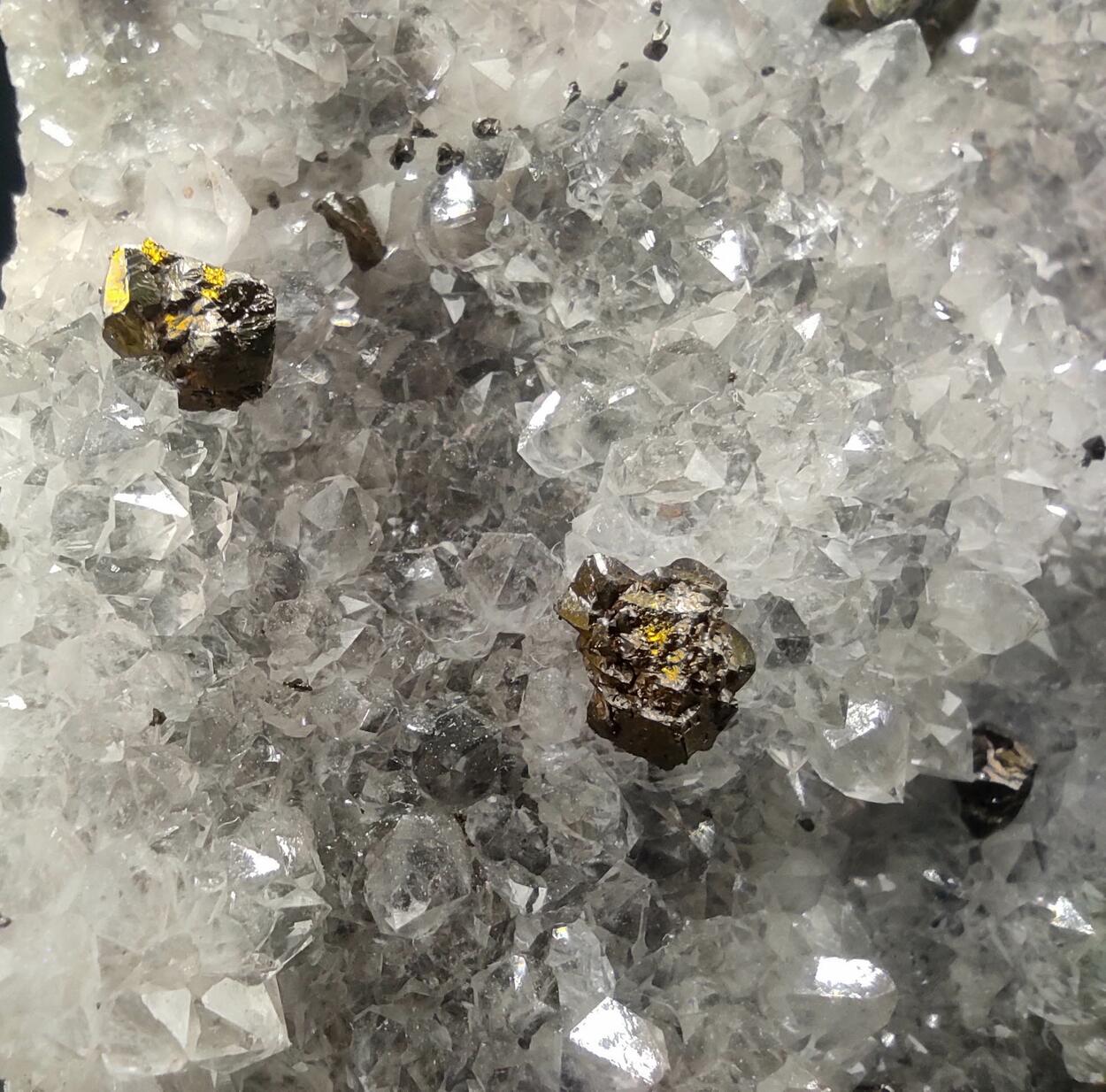 Chalcopyrite & Quartz