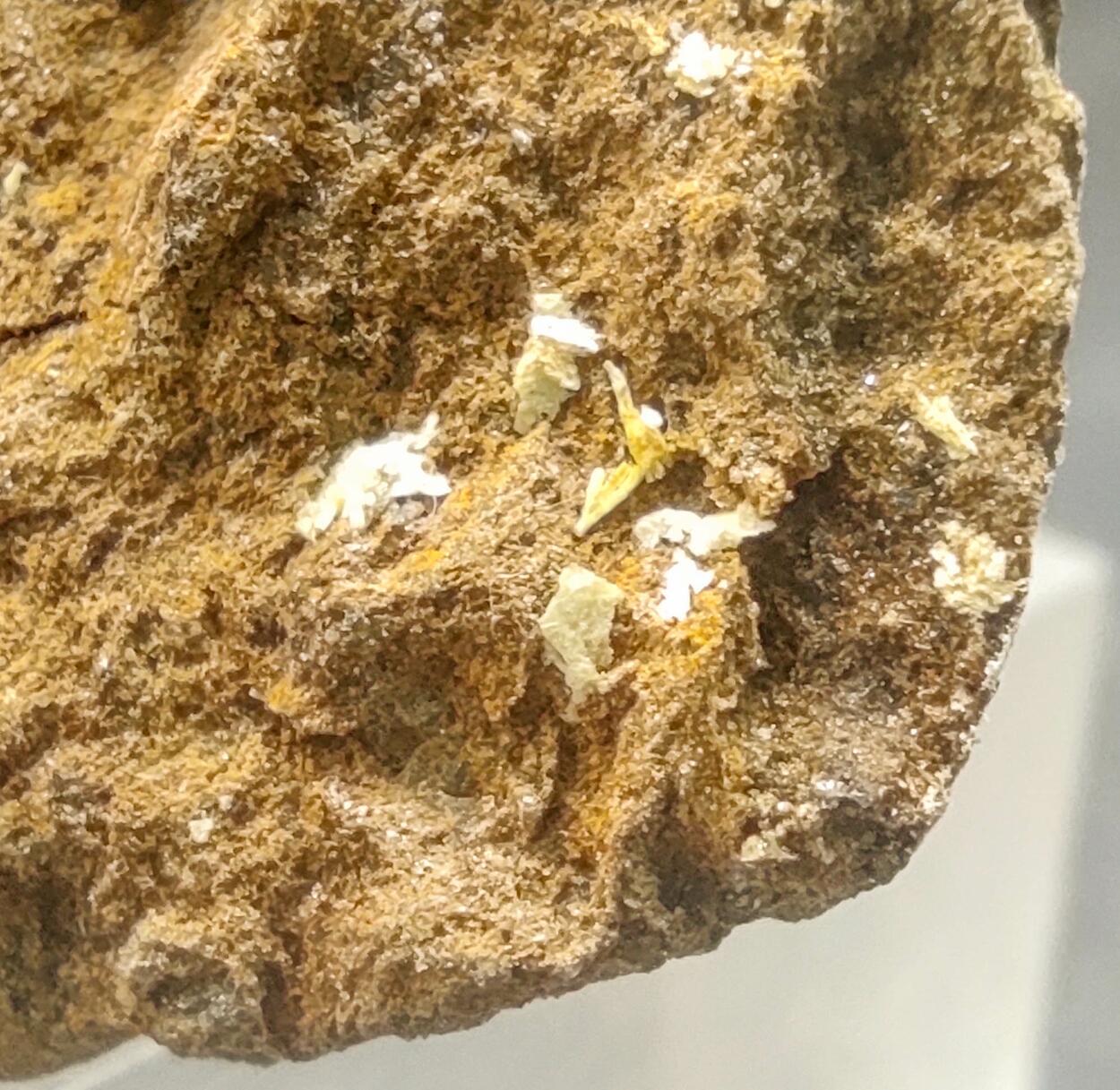 Autunite