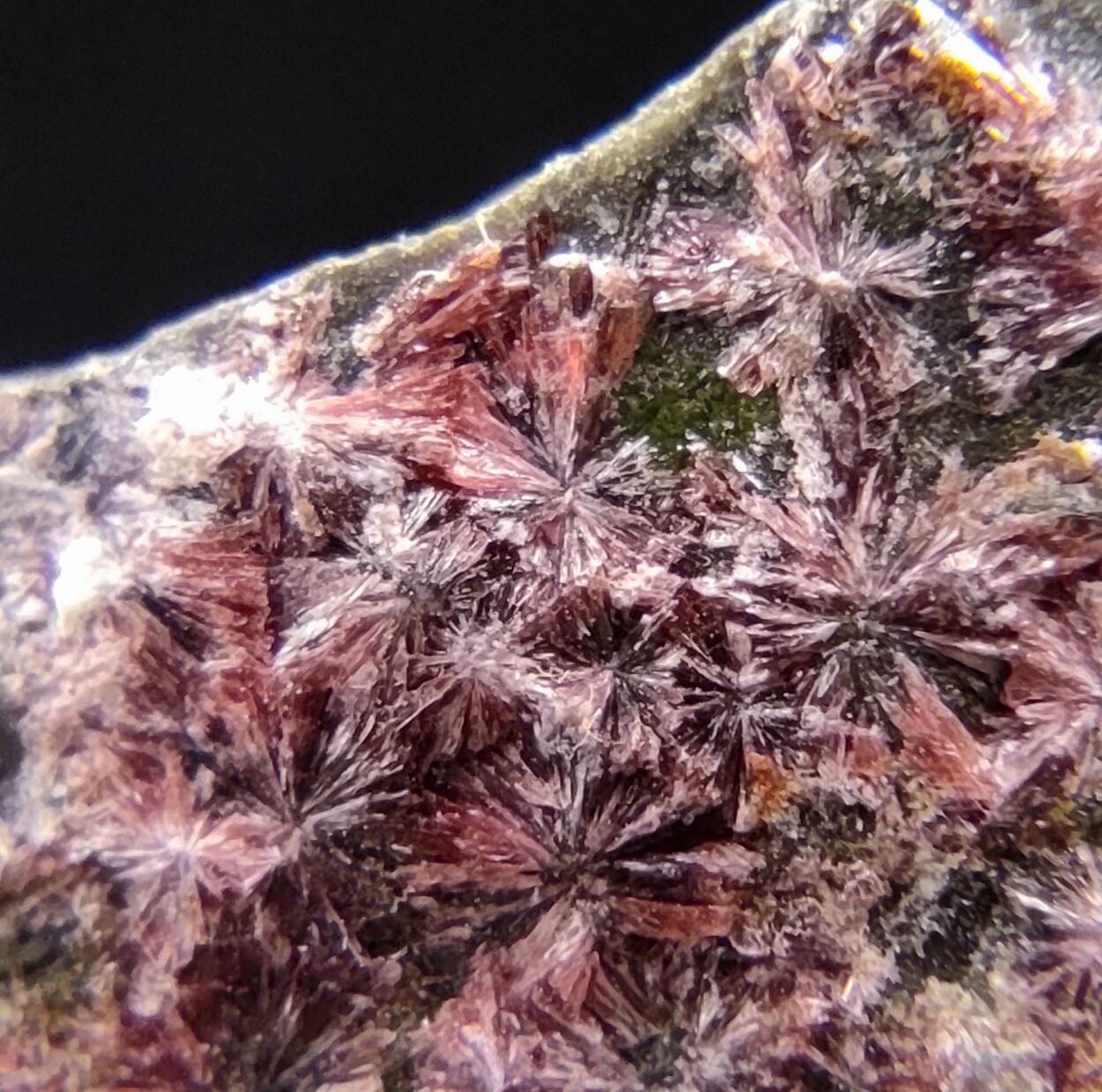 Erythrite & Conichalcite