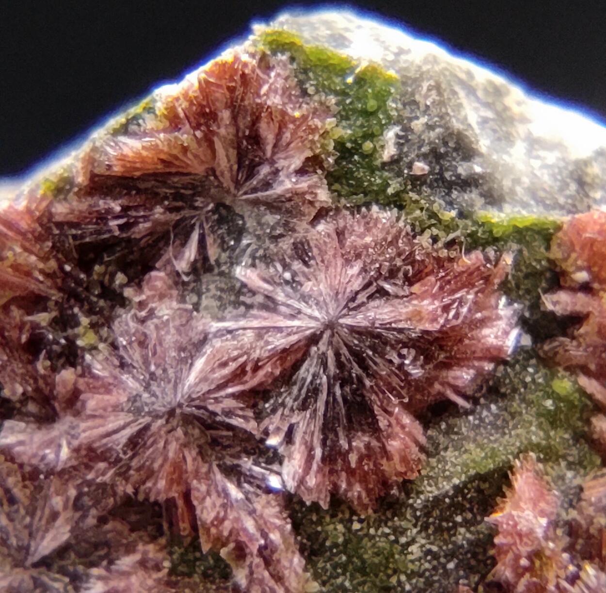 Erythrite & Conichalcite