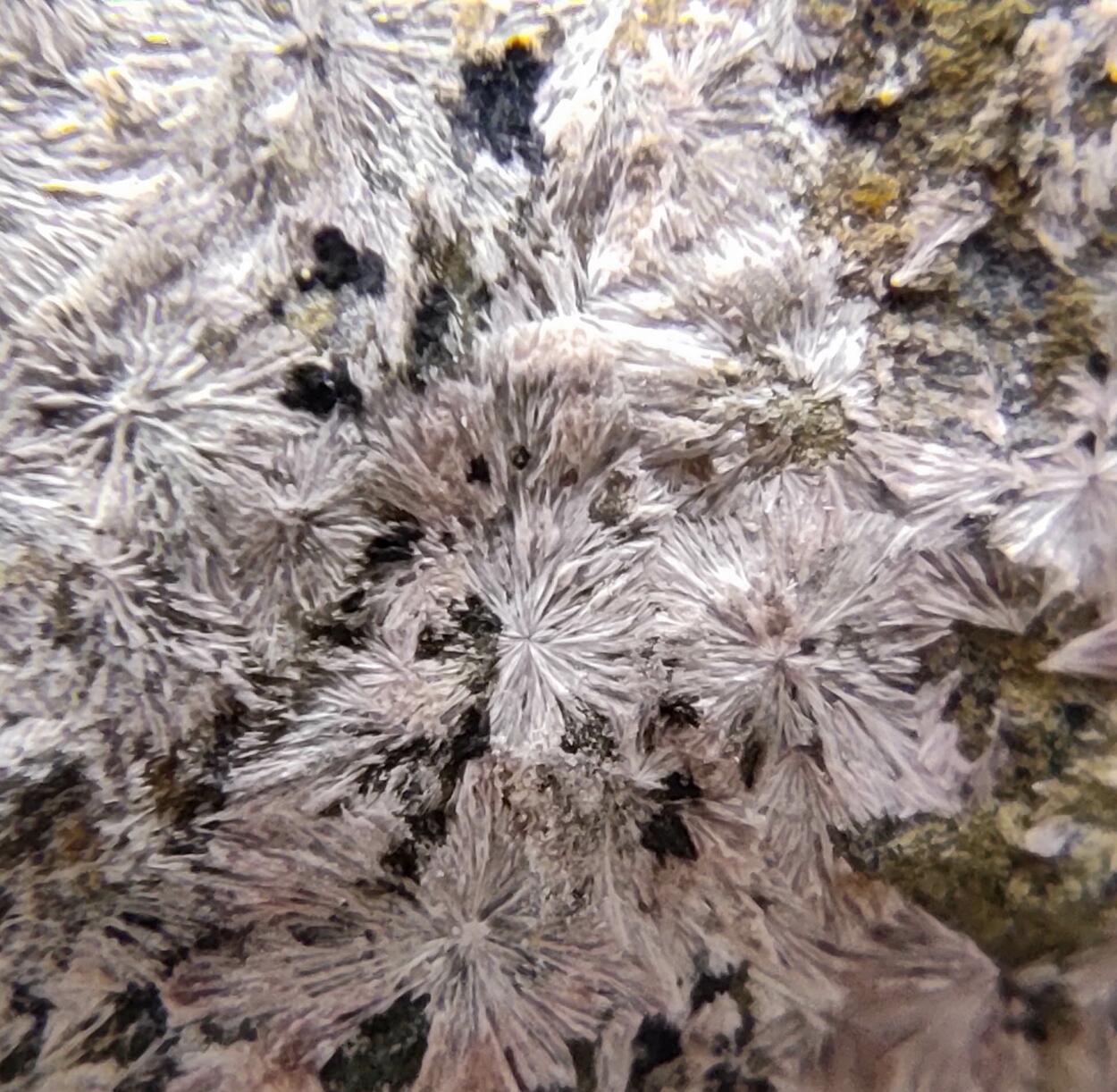 Erythrite & Conichalcite