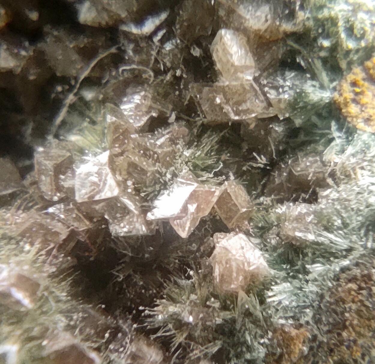 Pumpellyite & Dolomite