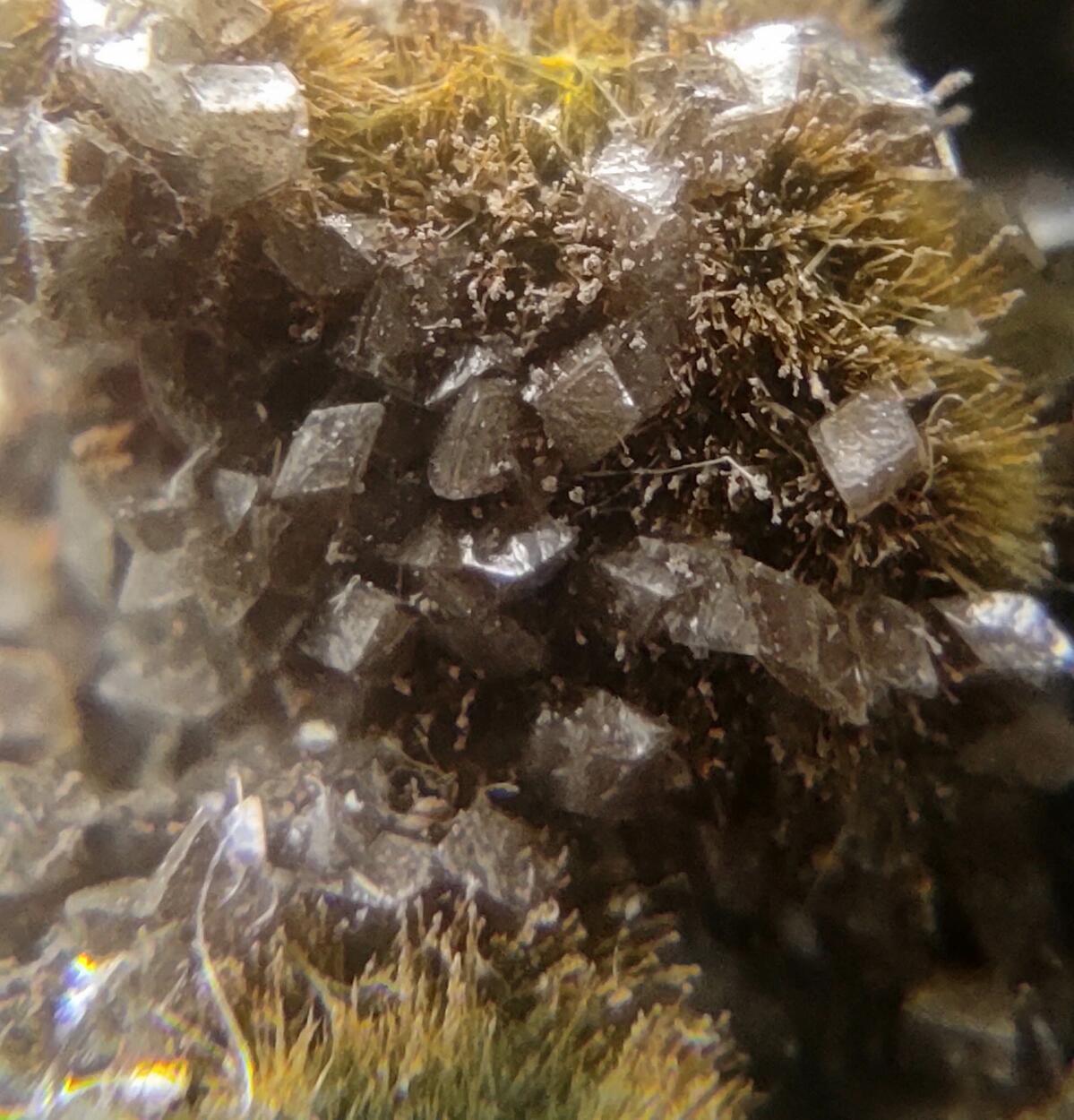 Pumpellyite & Dolomite