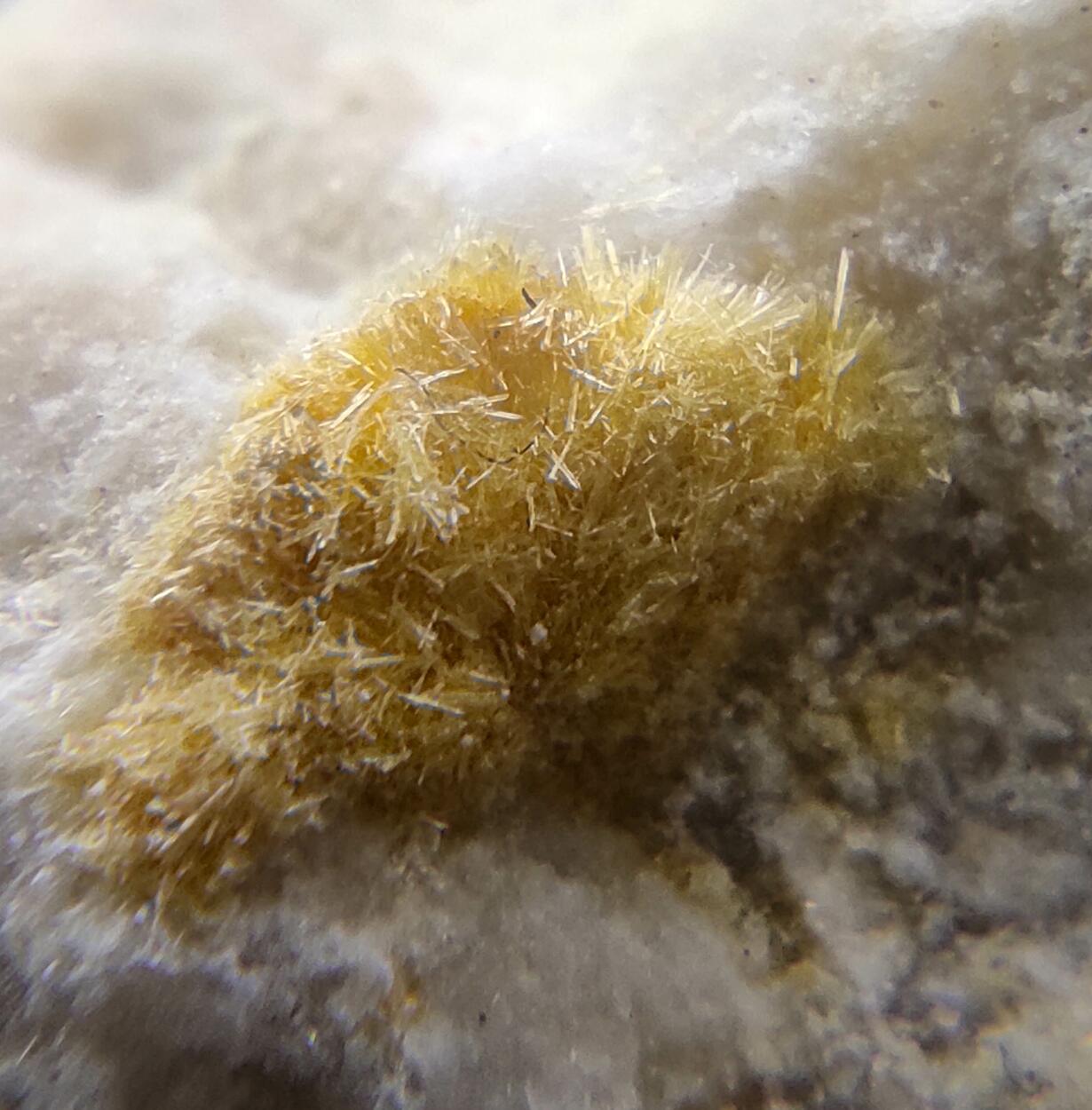 Native Sulphur & Sideronatrite