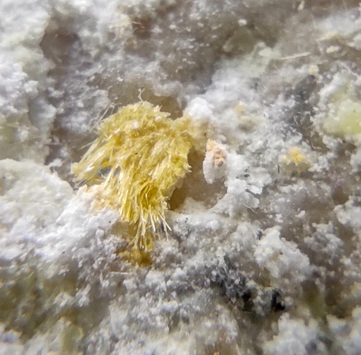 Native Sulphur & Sideronatrite