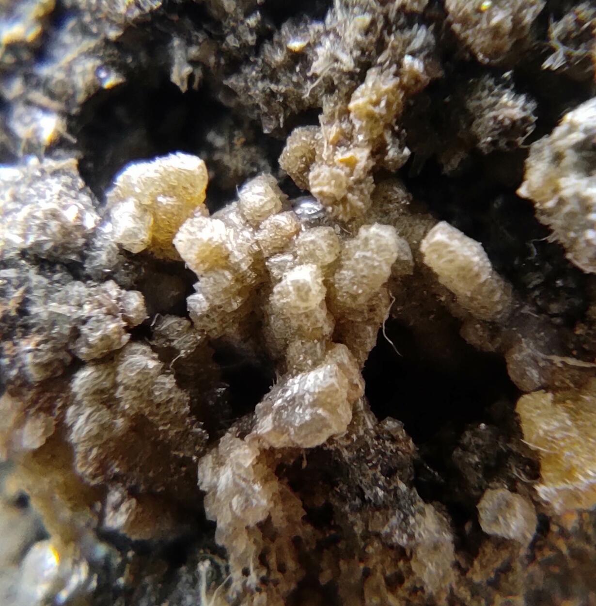 Pyrrhotite Quartz Pyrite Sphalerite & Calcite