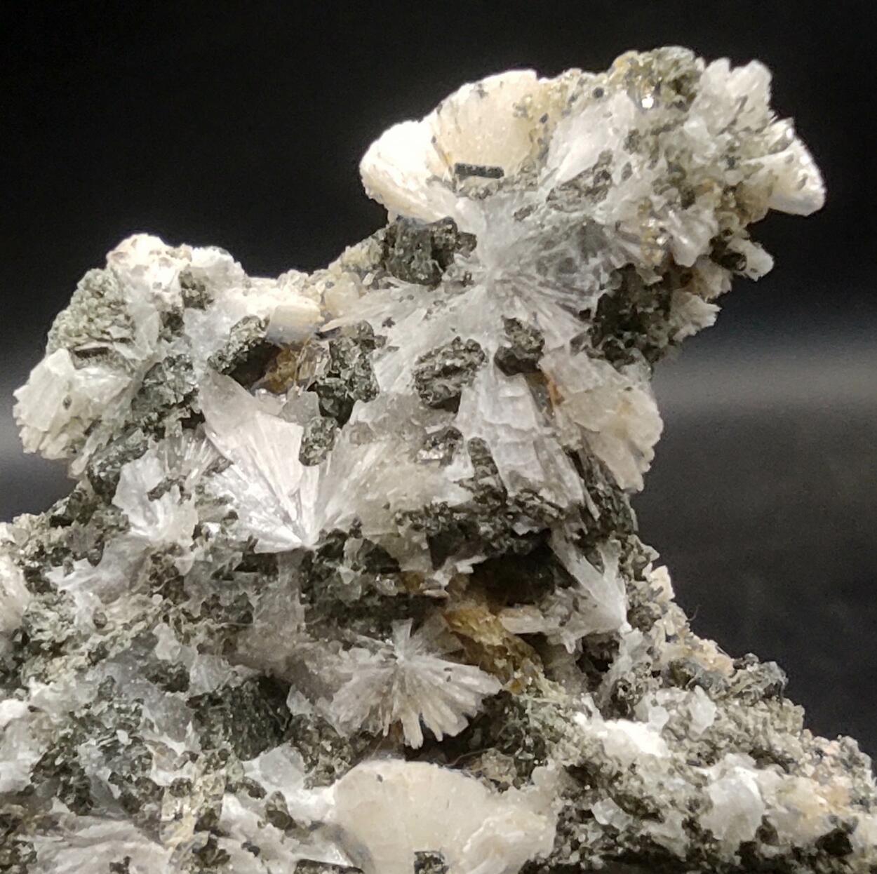 Titanite Albite Prehnite Ferro-actinolite & Calcite