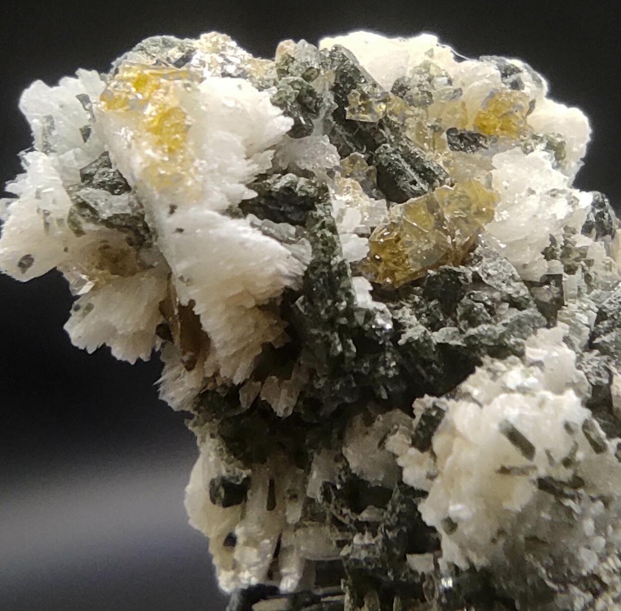 Titanite Albite Prehnite Ferro-actinolite & Calcite