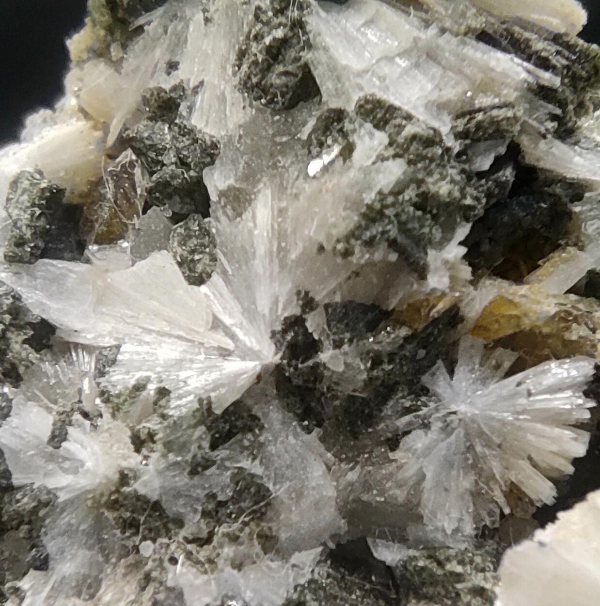 Titanite Albite Prehnite Ferro-actinolite & Calcite