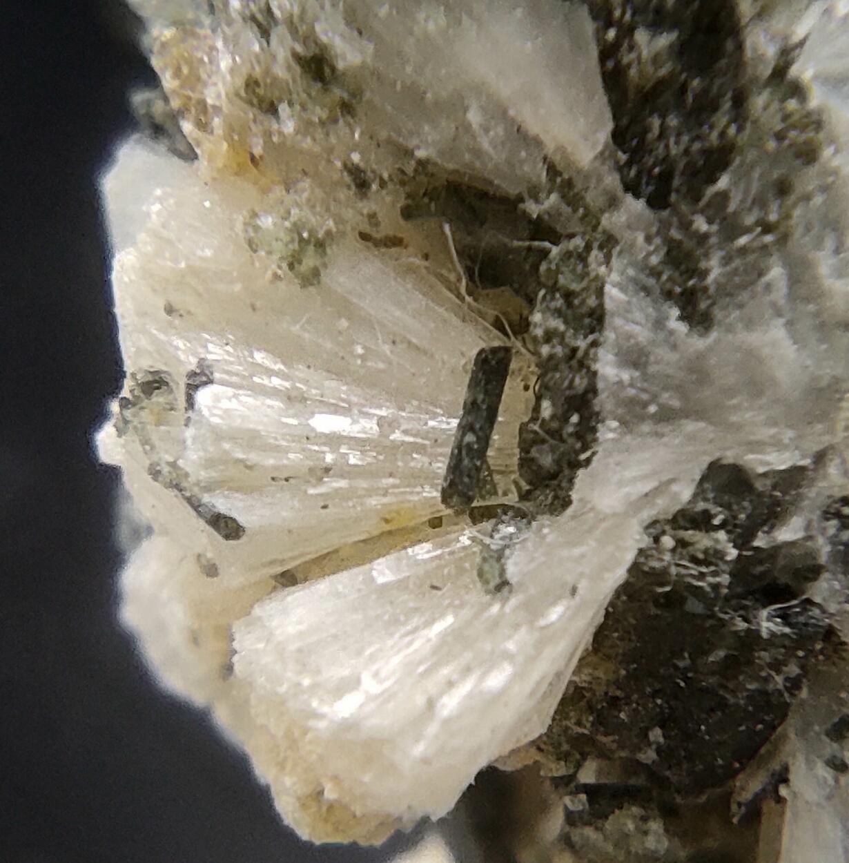 Titanite Albite Prehnite Ferro-actinolite & Calcite