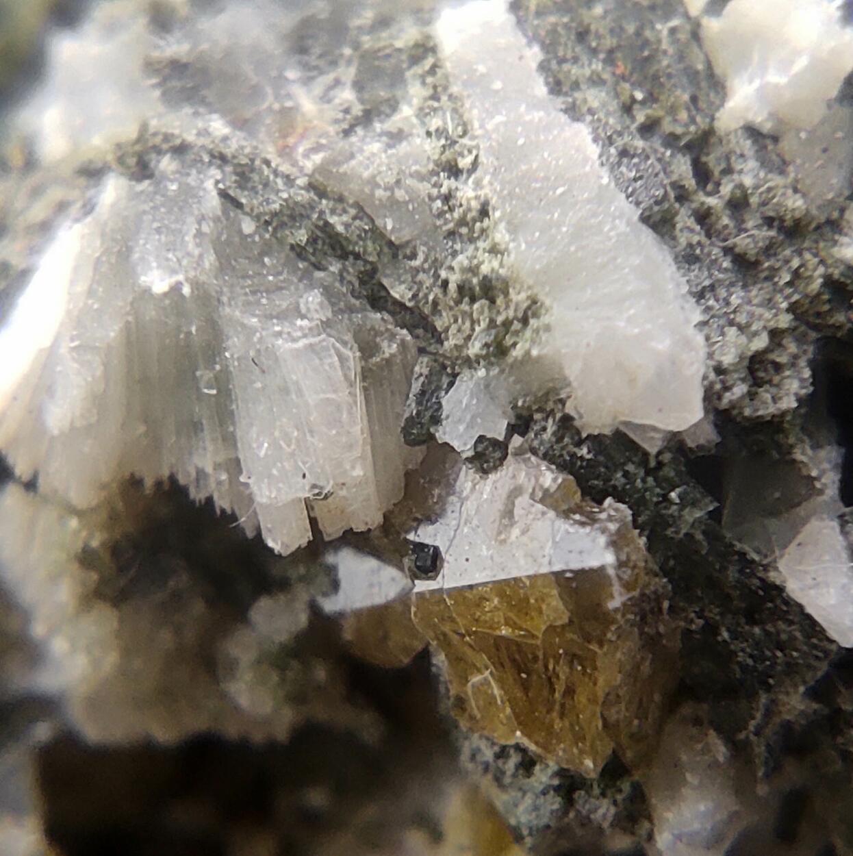 Titanite Albite Prehnite Ferro-actinolite & Calcite