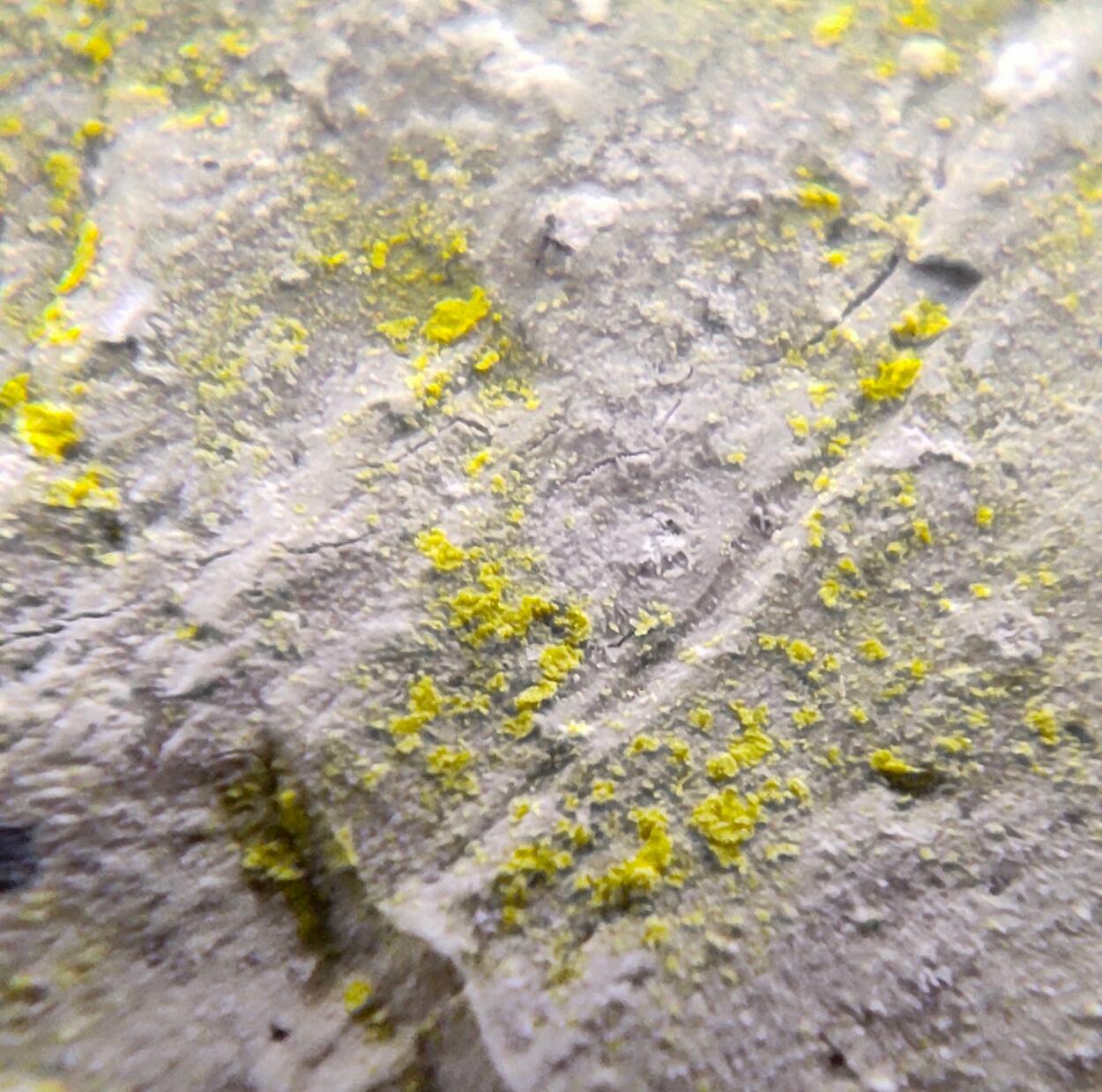 Tyuyamunite Pyrolusite & Sepiolite