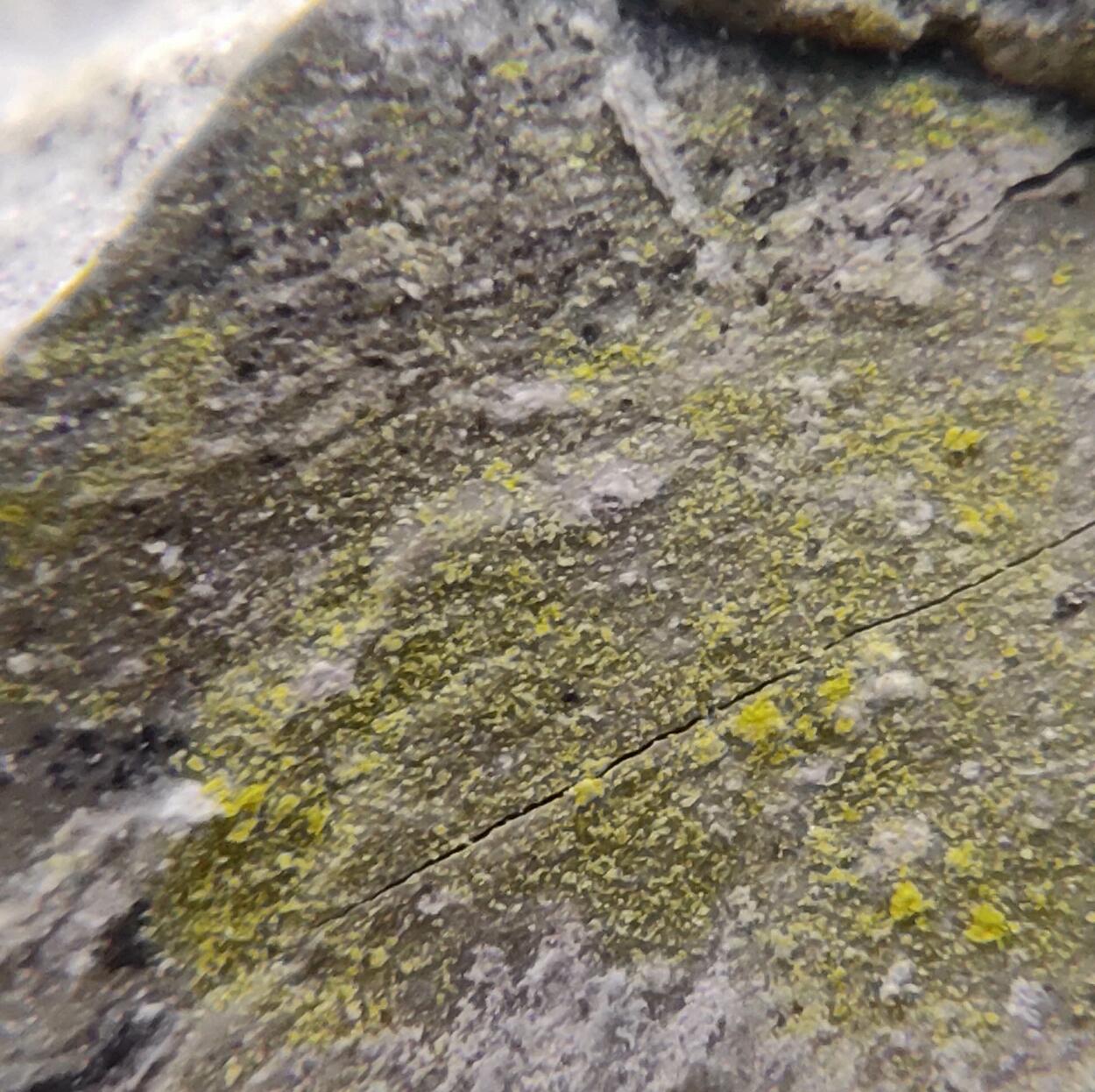 Tyuyamunite Pyrolusite & Sepiolite