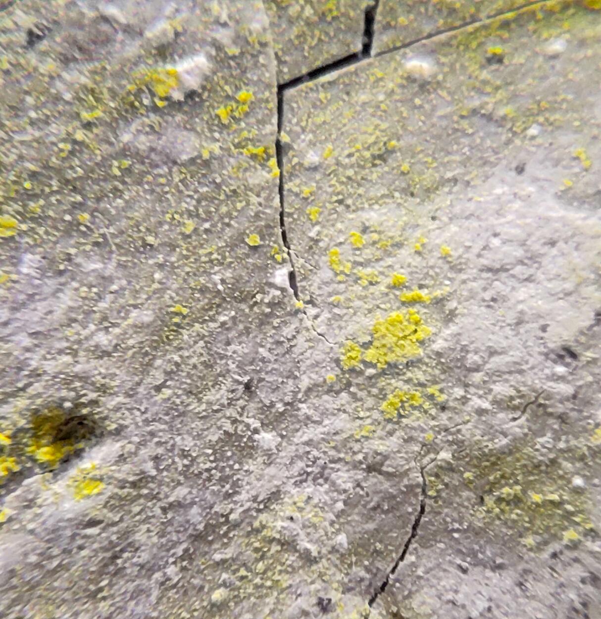 Tyuyamunite Pyrolusite & Sepiolite