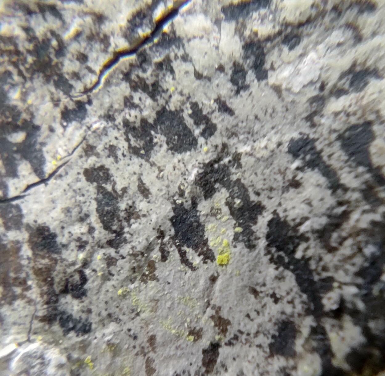 Tyuyamunite Pyrolusite & Sepiolite