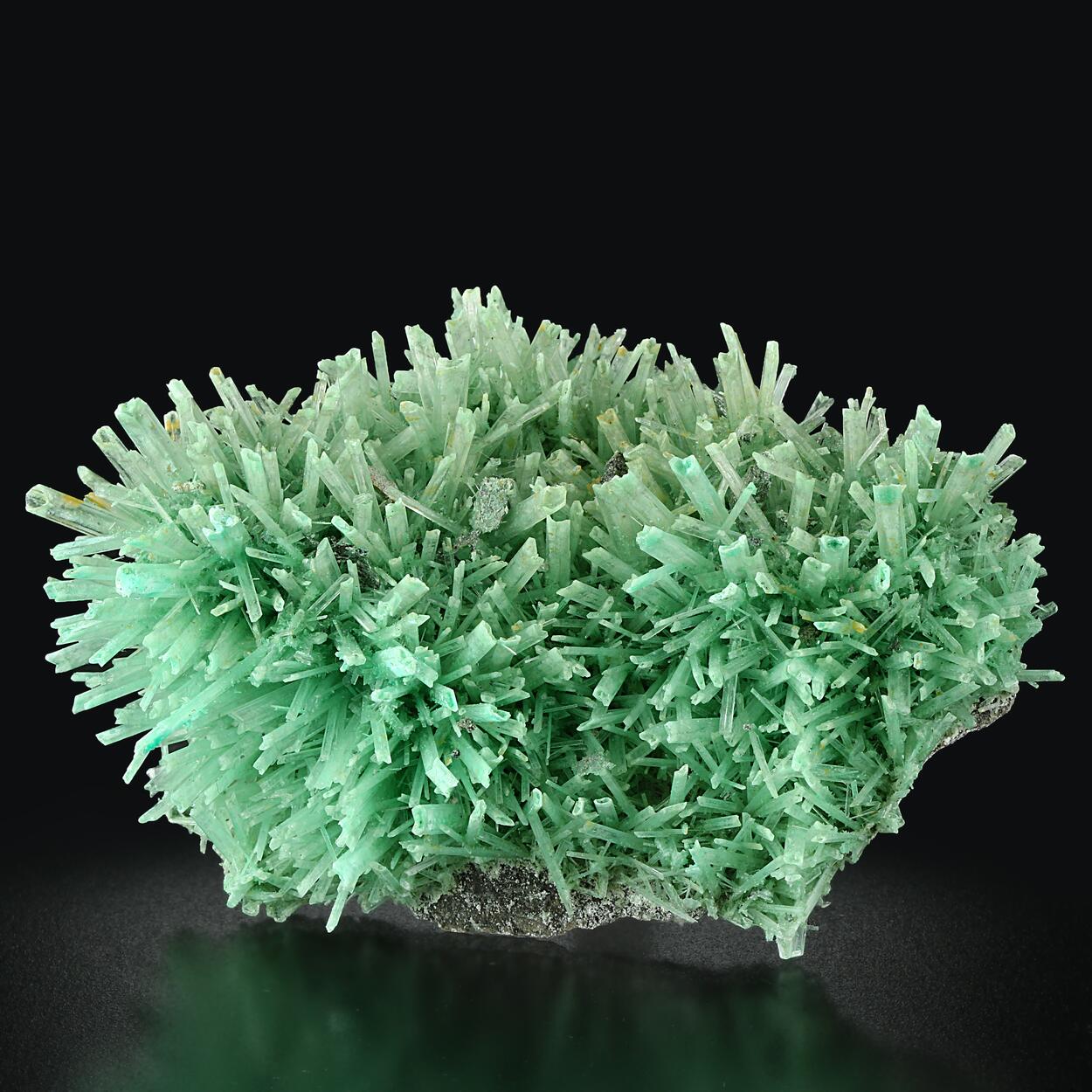 Gypsum Var Selenite On Dolomite