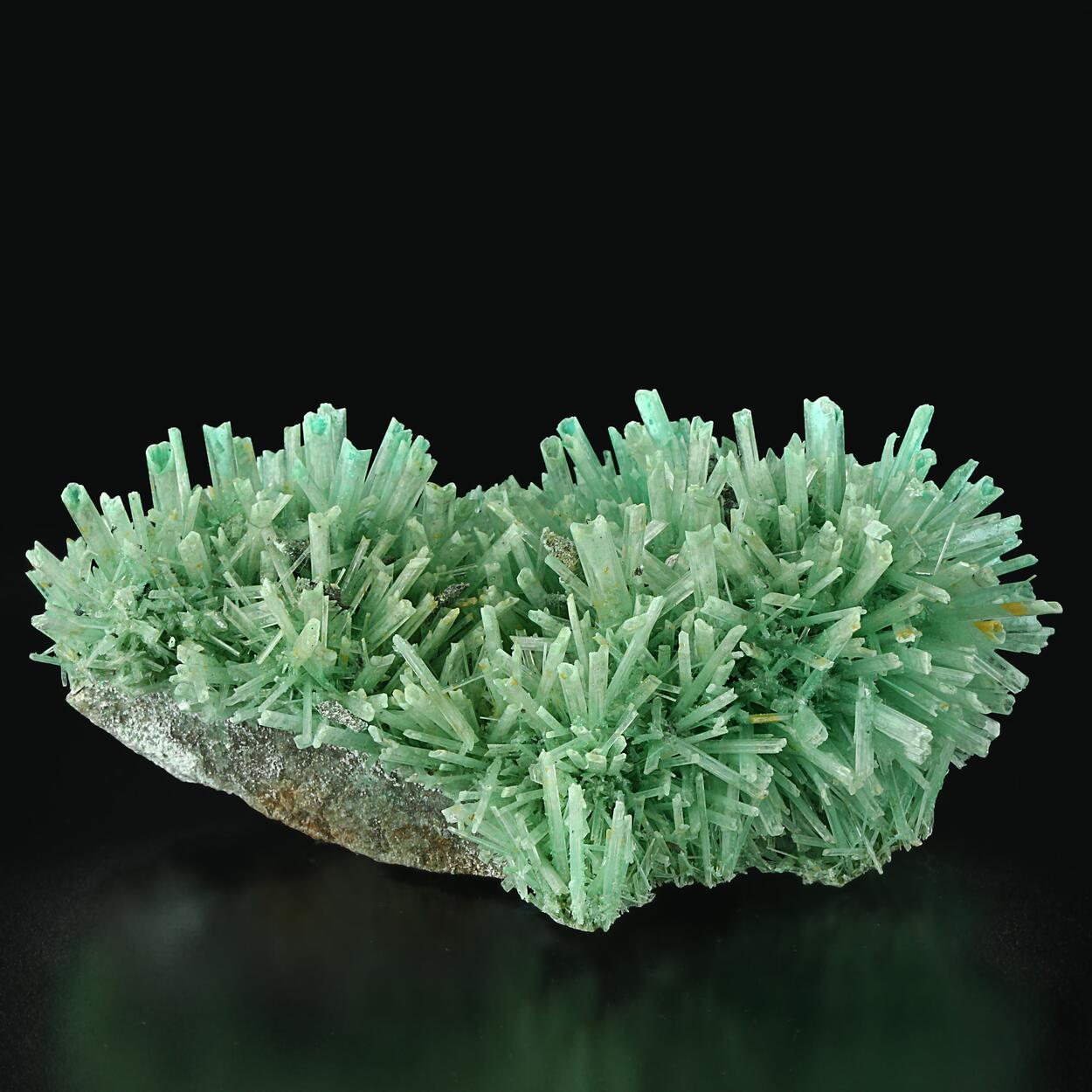 Gypsum Var Selenite On Dolomite