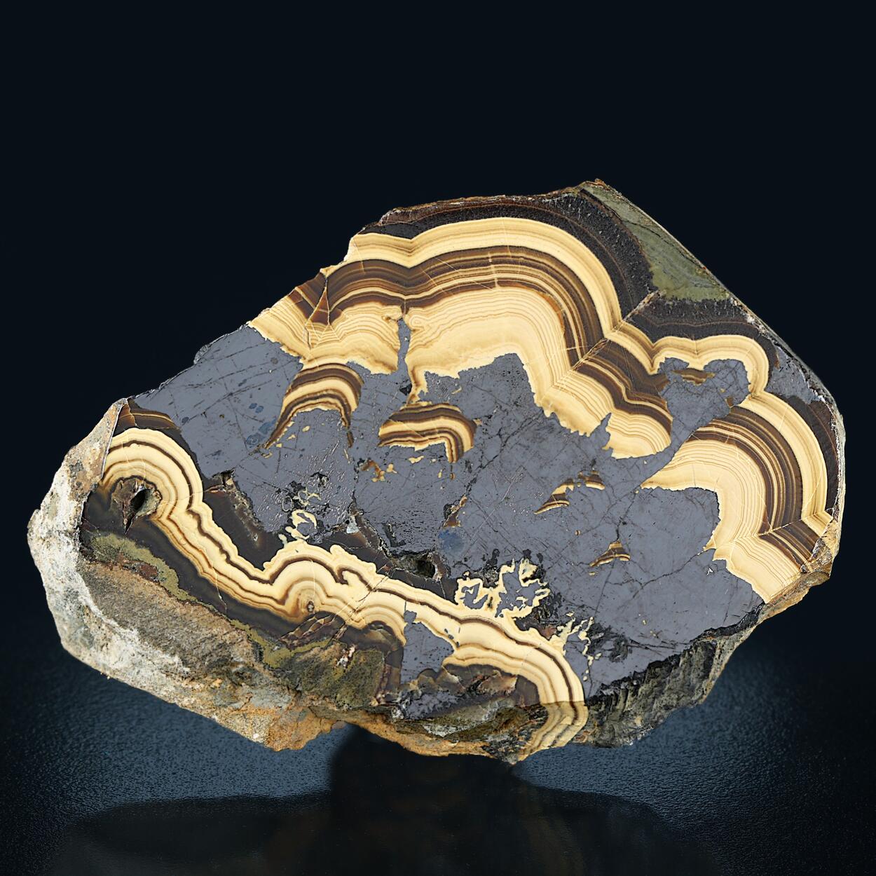 Schalenblende