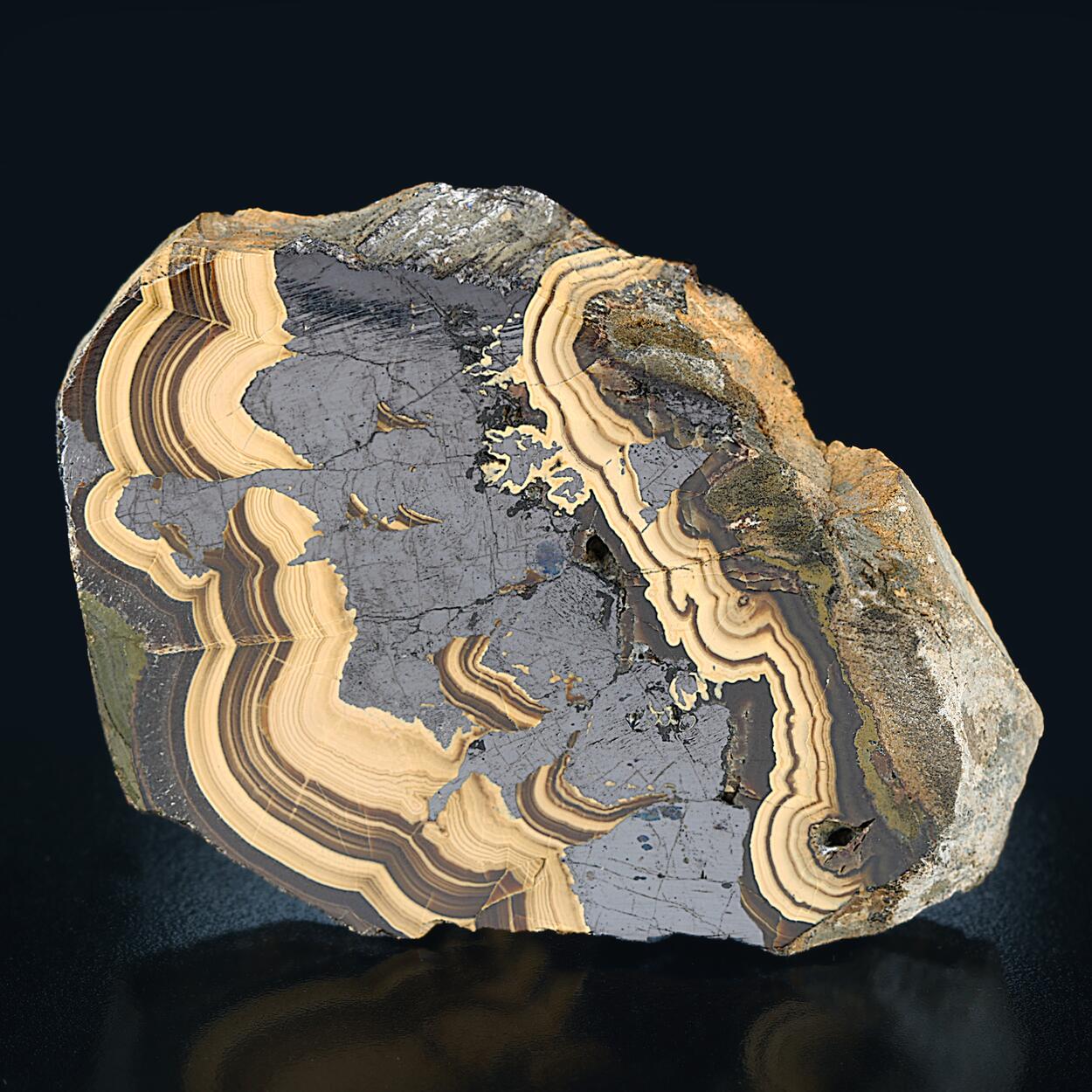 Schalenblende
