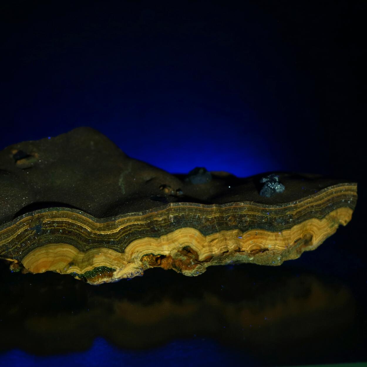 Galena On Schalenblende