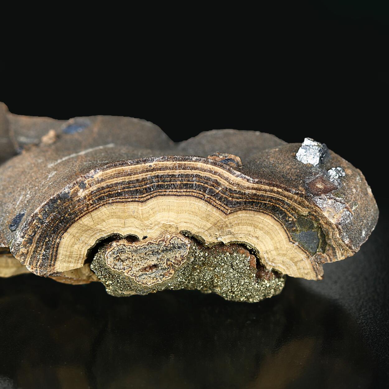 Galena On Schalenblende