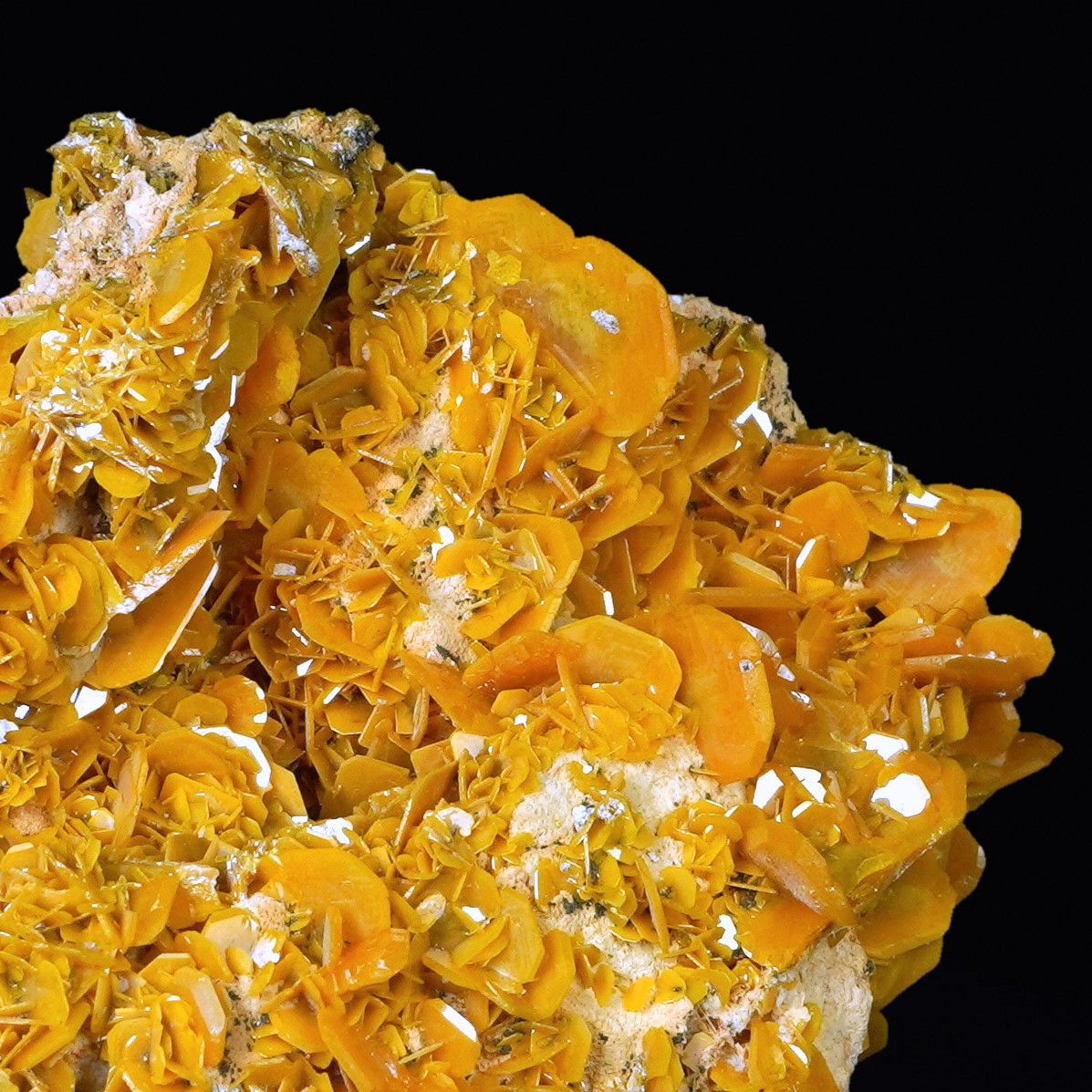 Wulfenite