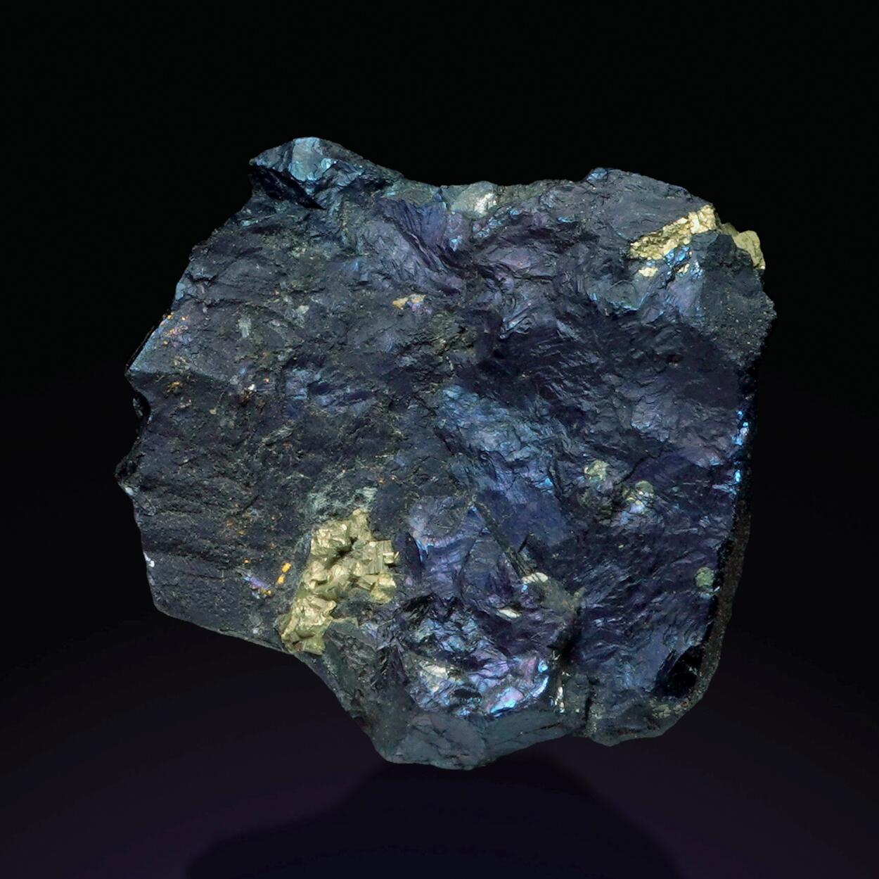 Covellite & Pyrite