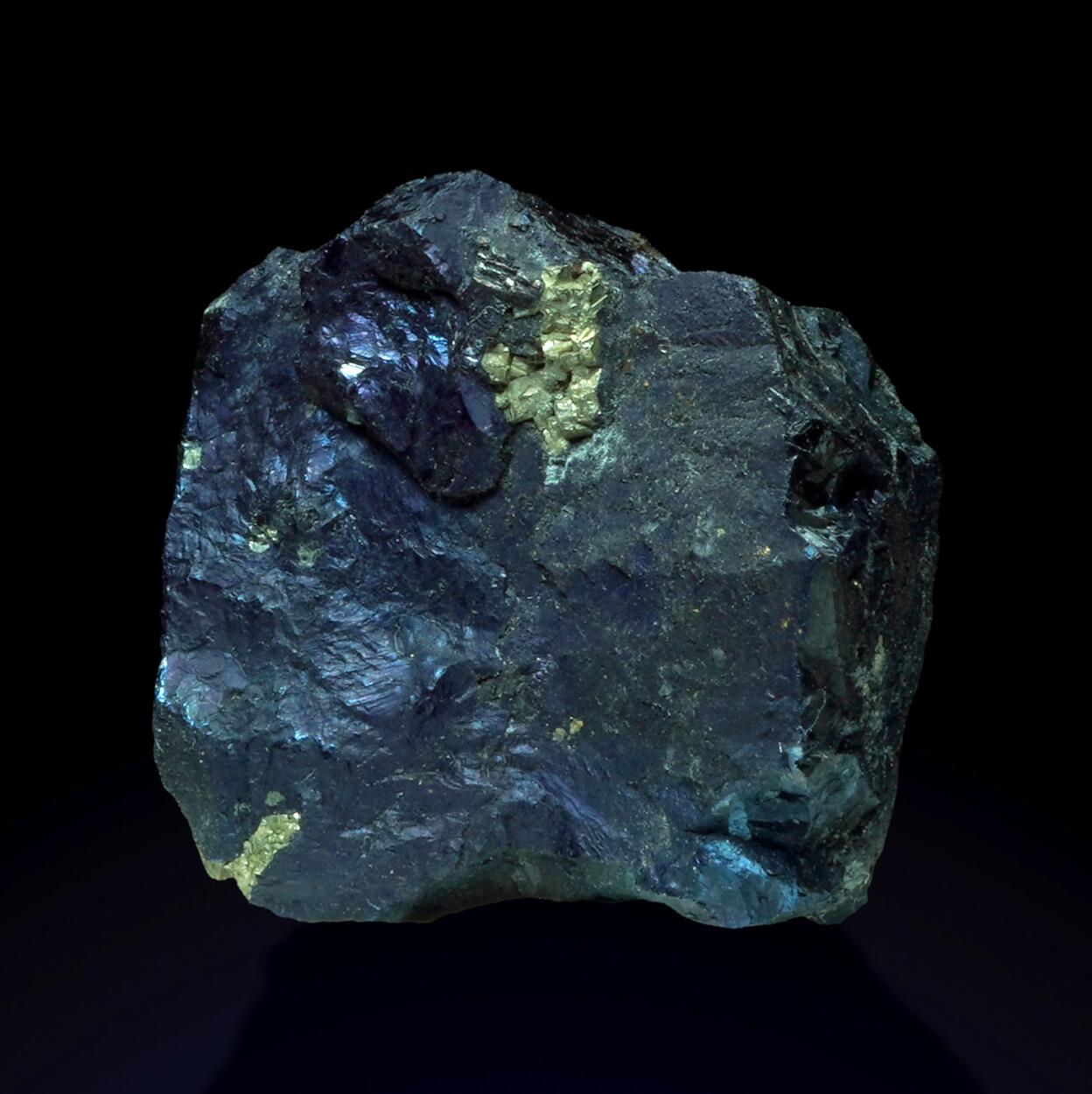 Covellite & Pyrite