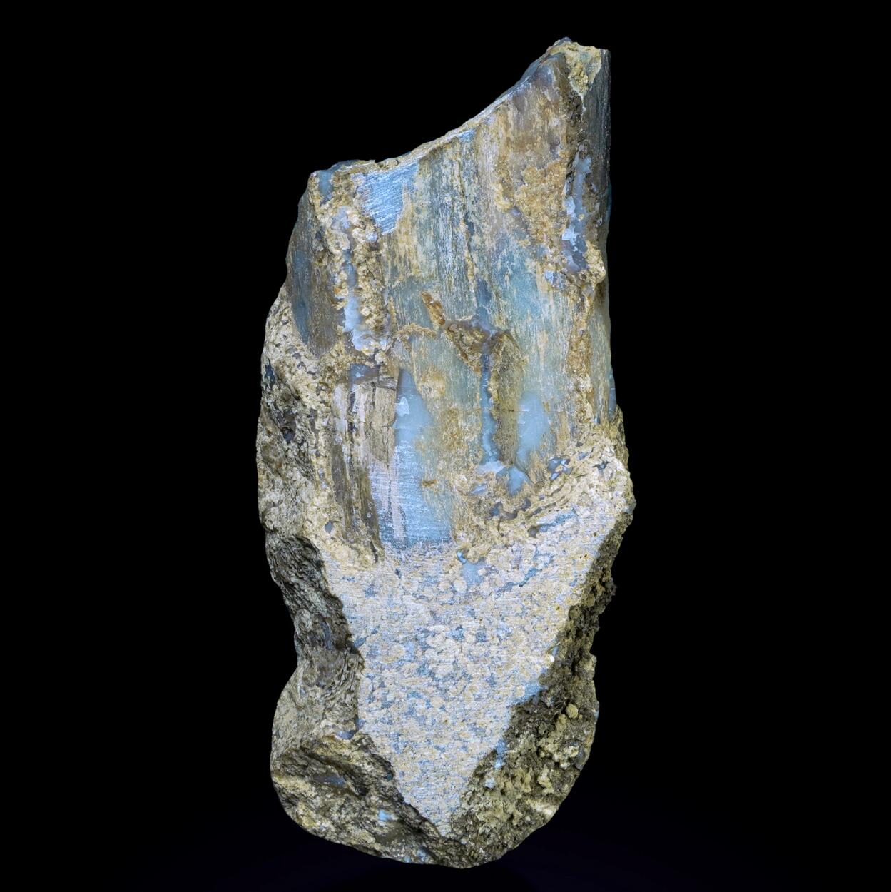 Petrified Wood & Chalcedony