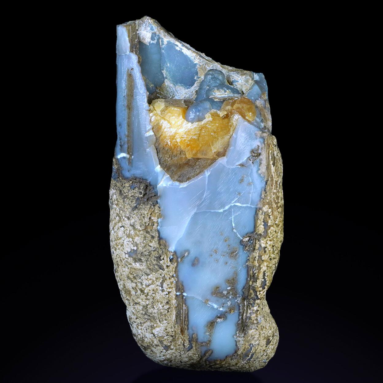 Petrified Wood & Chalcedony