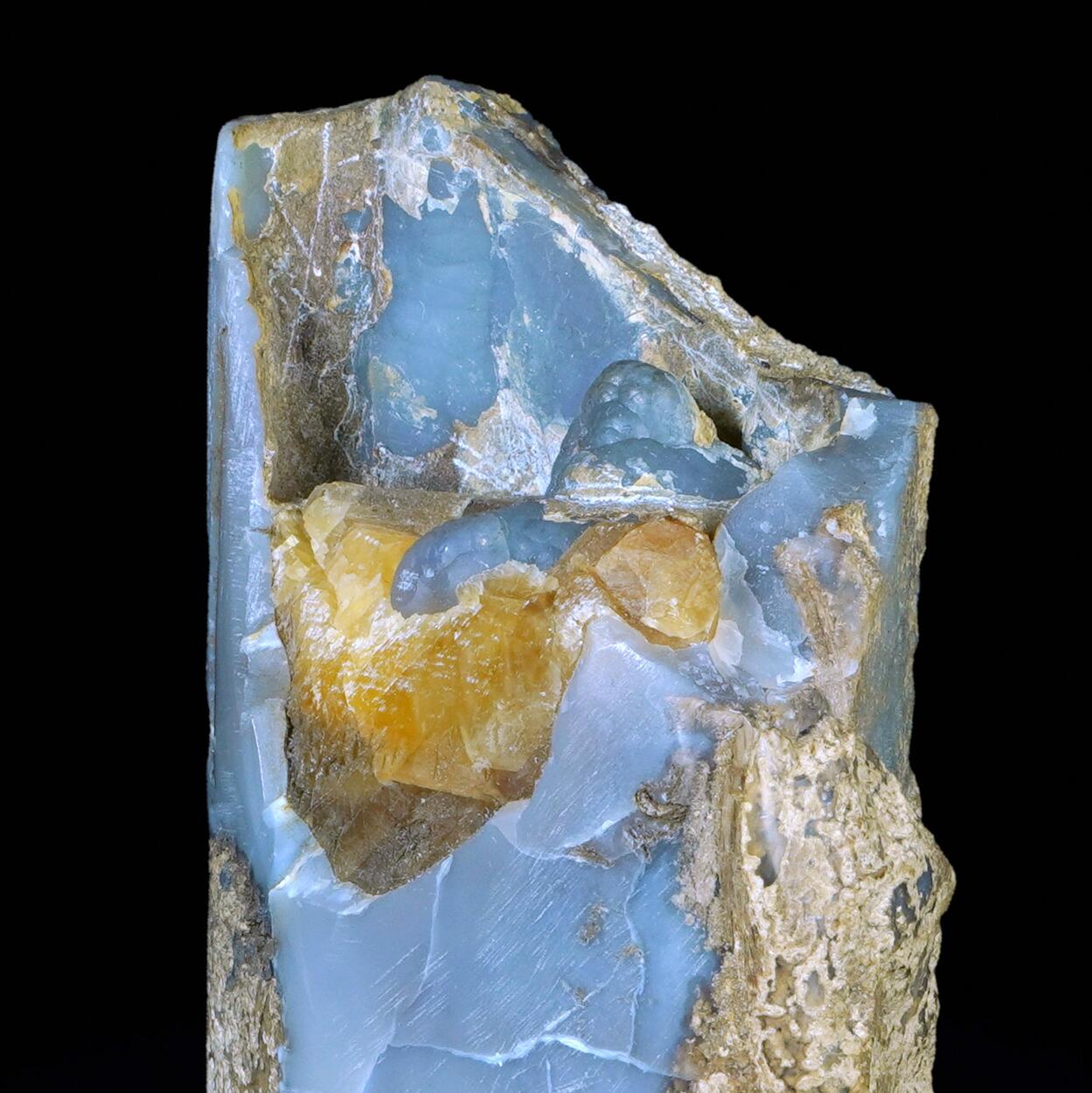 Petrified Wood & Chalcedony