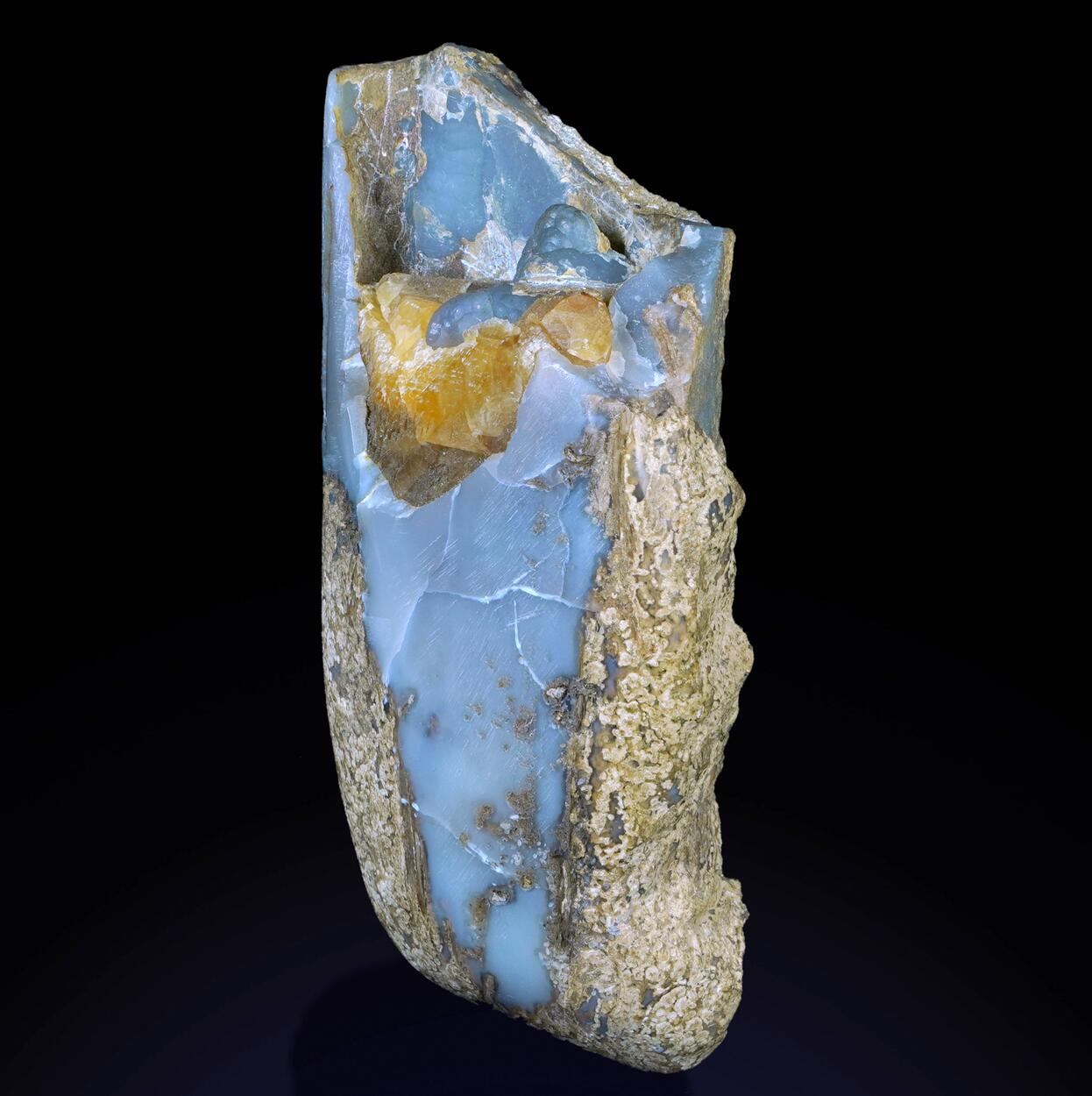 Petrified Wood & Chalcedony