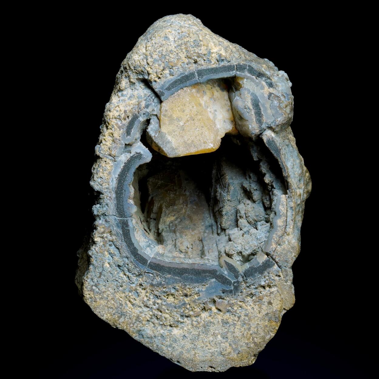 Petrified Wood & Calcite