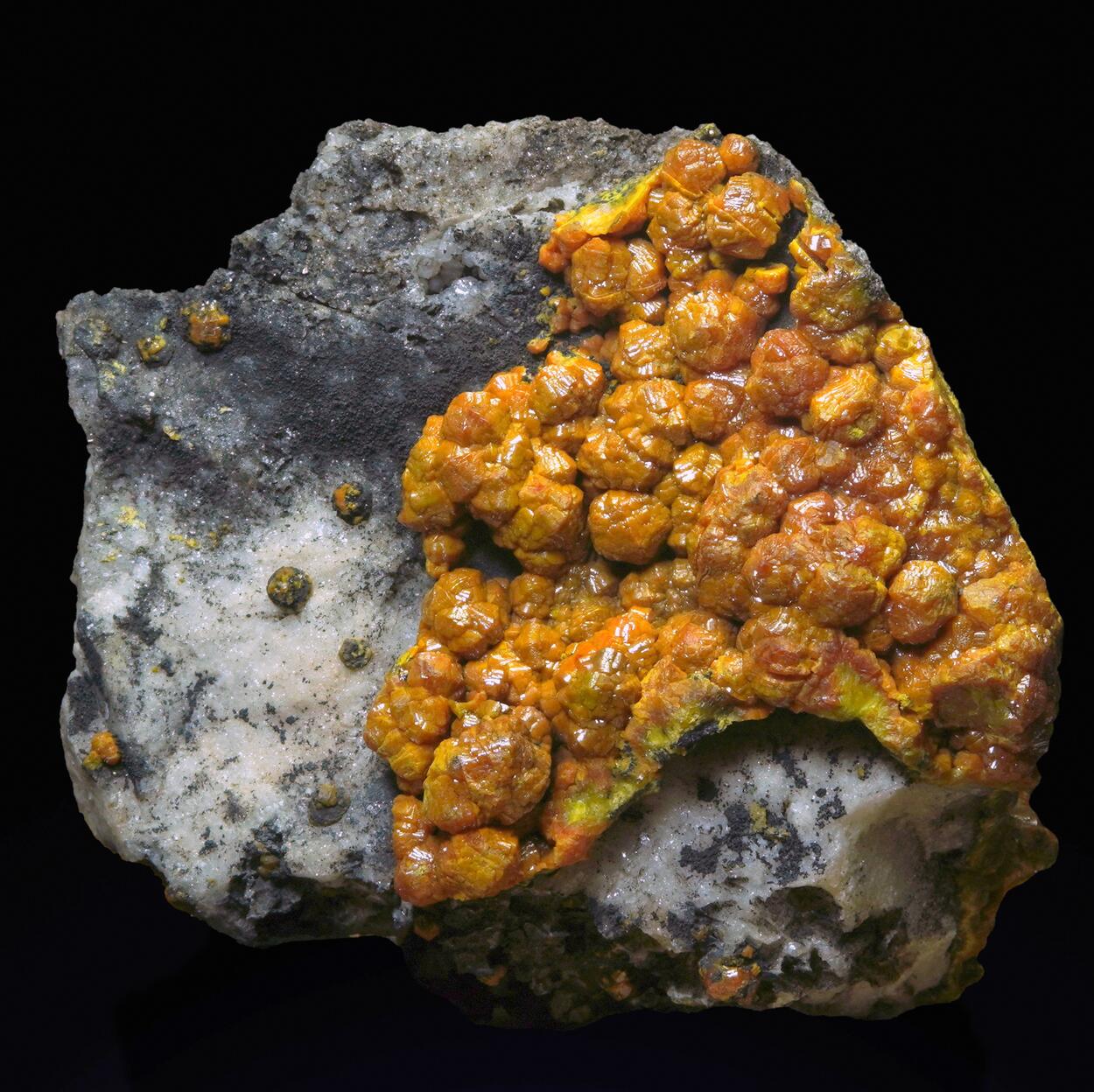 Campylite