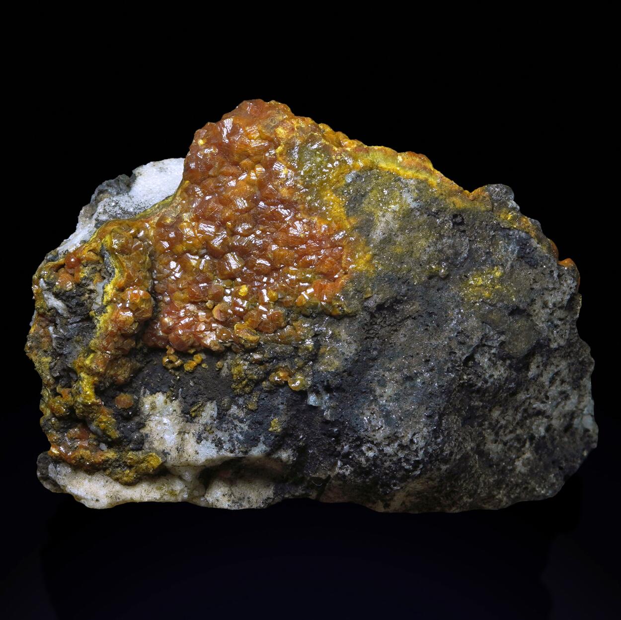 Campylite