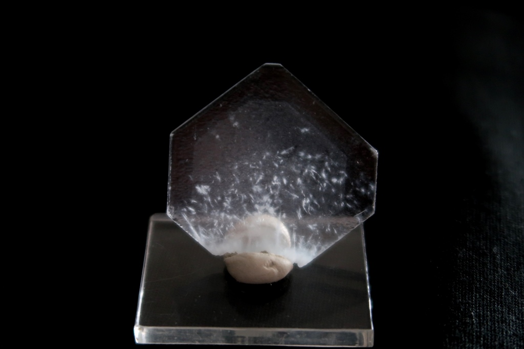 Baryte With Scolecite