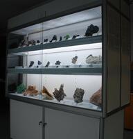 Collection/Collection Displays: Warren Taylor Collection