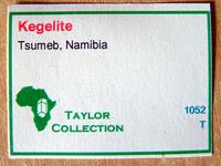 Main Collection Label Style