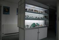 Collection/Collection Displays: Warren Taylor Collection