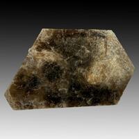 Phlogopite
