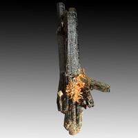 Aegirine & Xenotime-(Y)